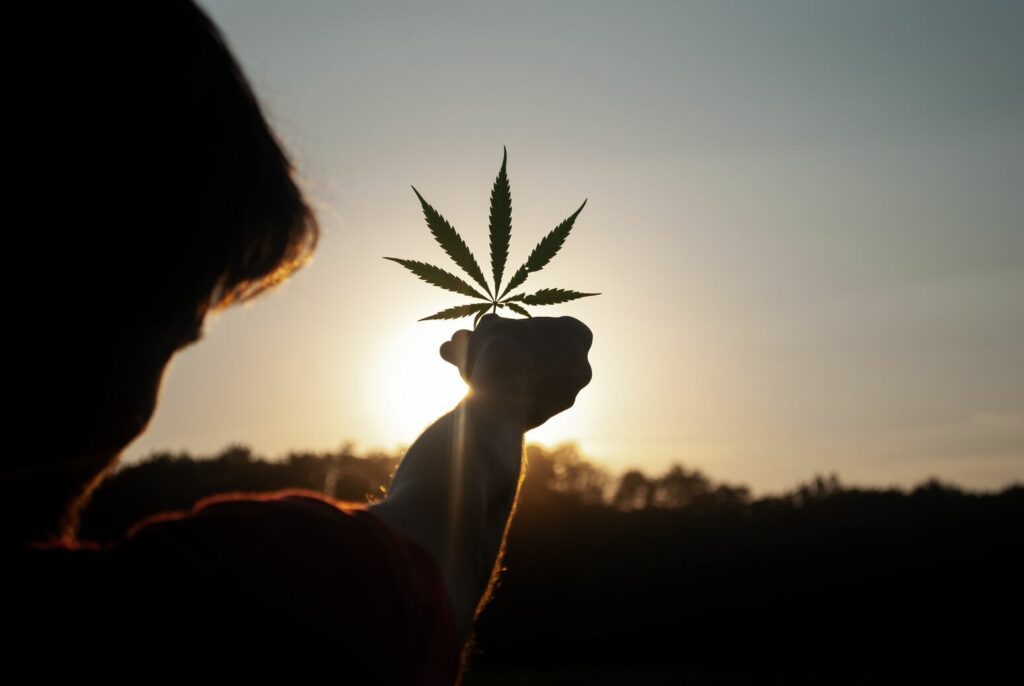 Cannabis Social Club Niedersachsen